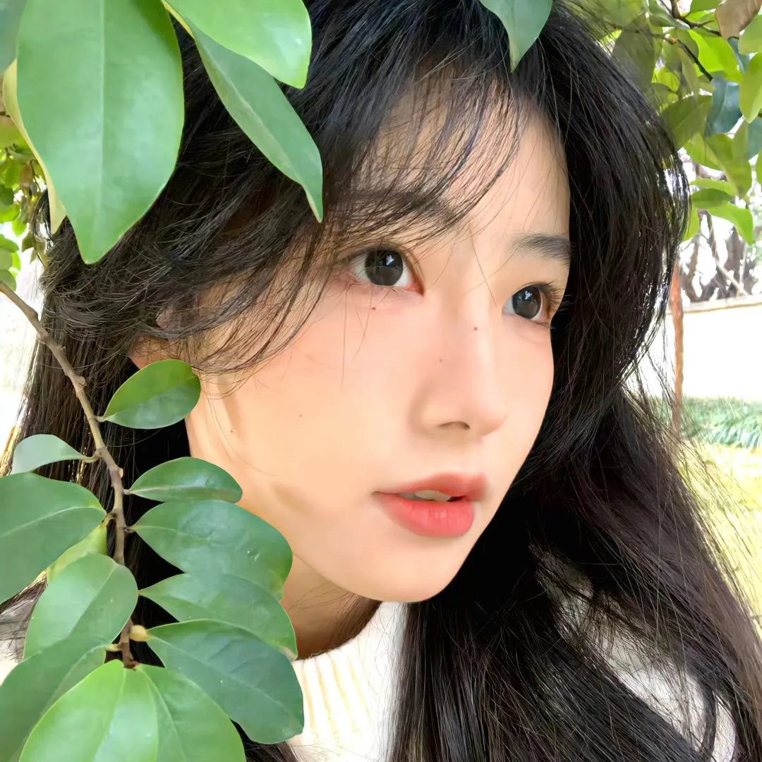 年少日记粤语